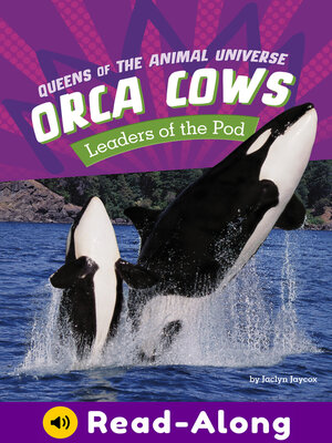 cover image of Orca Cows